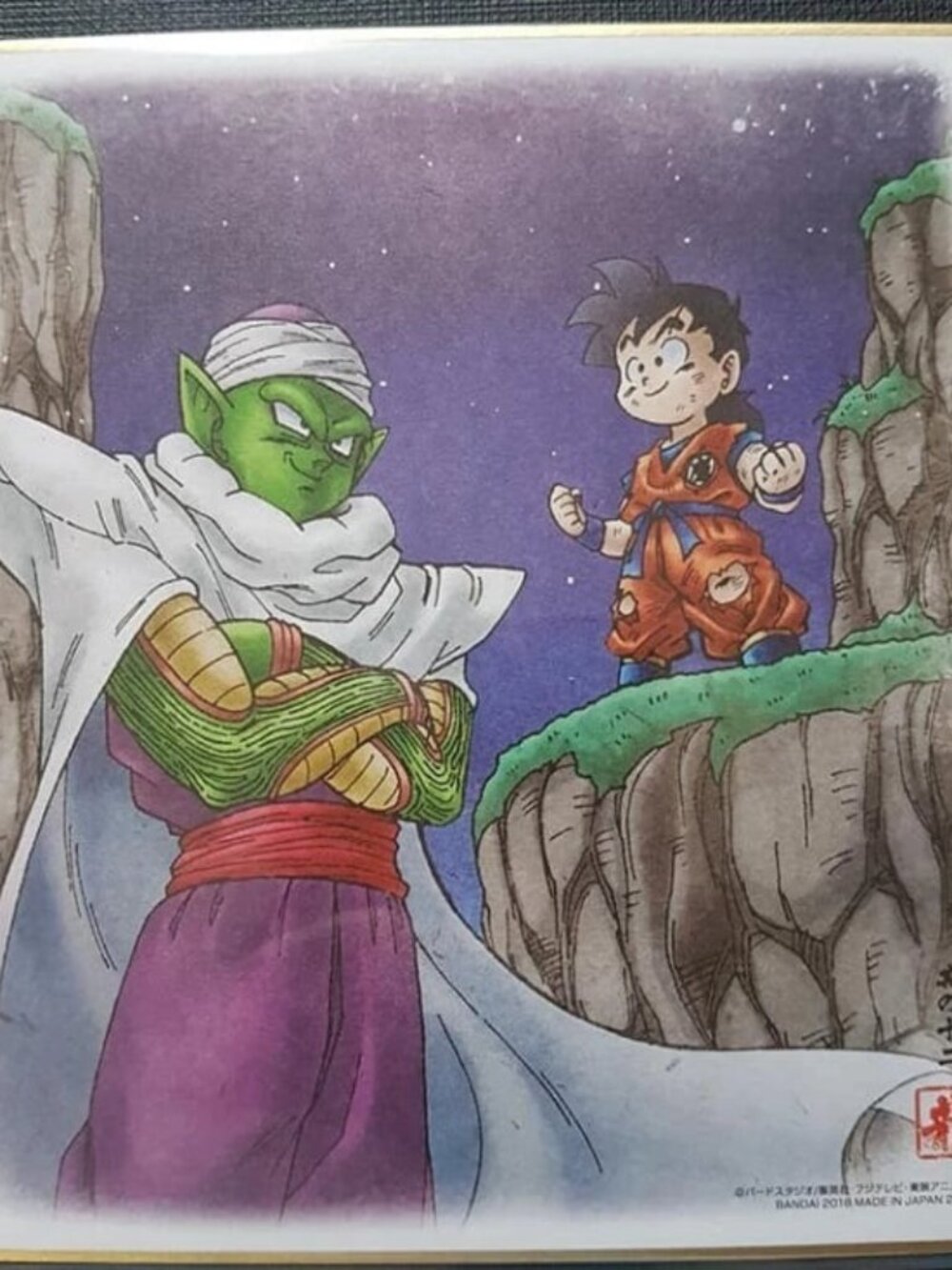 Dragon Ball Shikishi ART